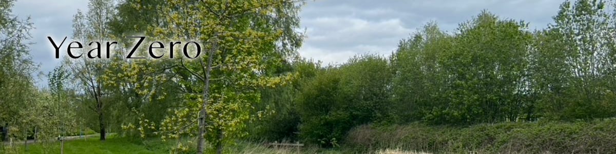 Year Zero - 2. Recovery