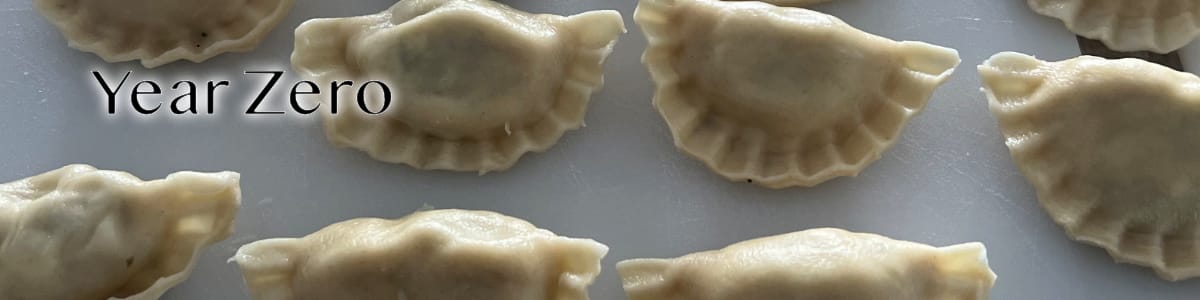 Year Zero - 4. Many Worlds